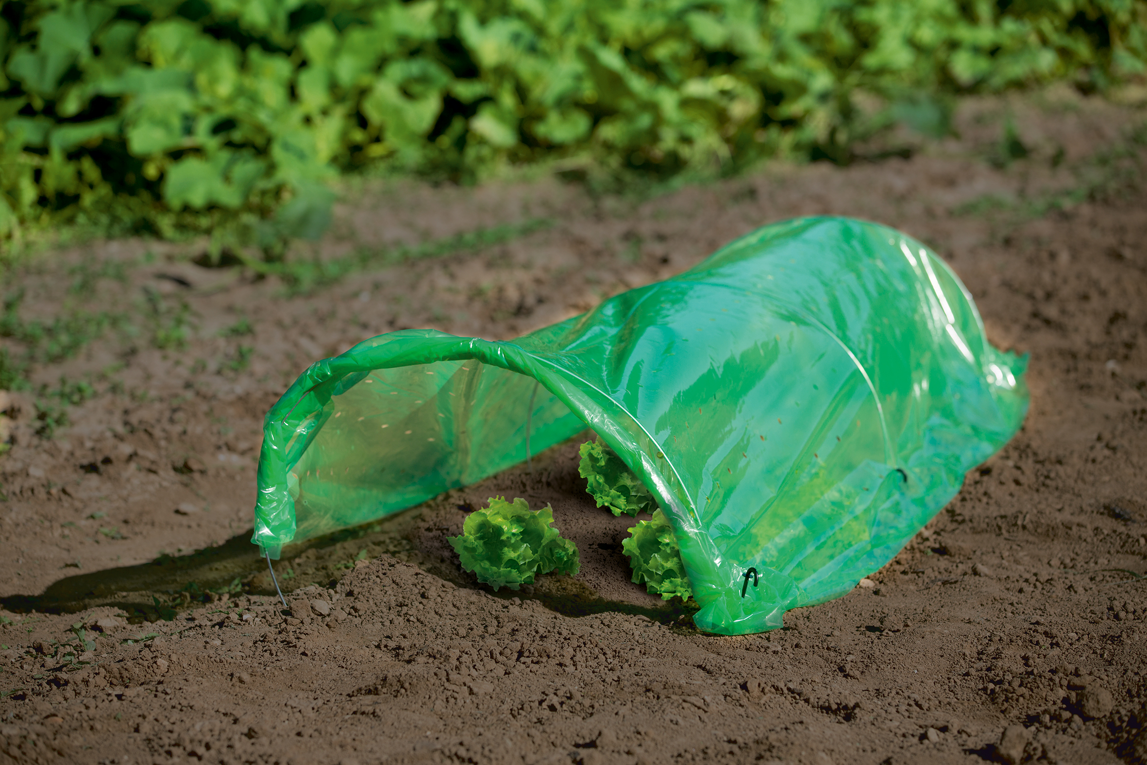 Απεικονίζεται μοντέλο του φιλμ, ανοιχτό από τη μία πλευρά.